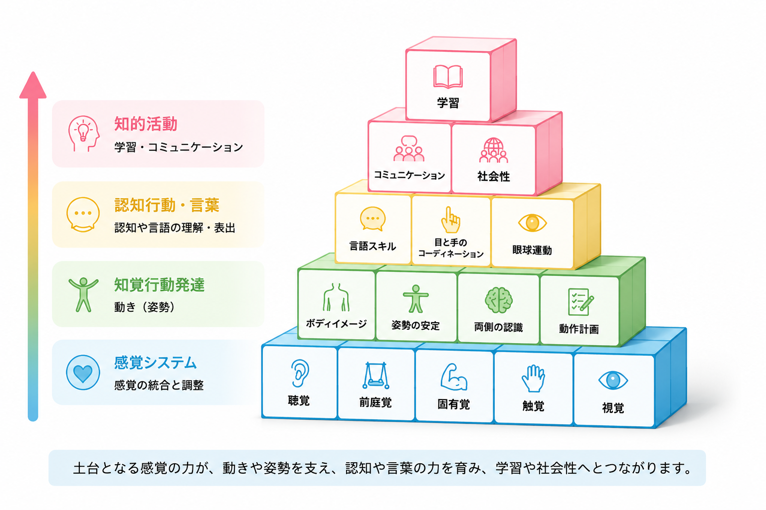 発達のピラミッド